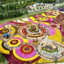 용대관광지 이미지