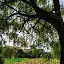 화성문고 이미지