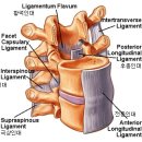 경부 염좌(삠: Cervical sprain) 이미지