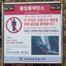 마량포 해넘이.해돋이 축제 | (서천여행) 서천 마량포구 해돋이명소 마량리해돋이둘레길 &amp; 성경전래지기념공원 - 서천 가볼만한 곳