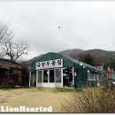 금진한우