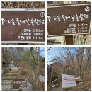 제천 포레스트 리솜 S30 빌라동 숙박후기, 멋진 주변 경관