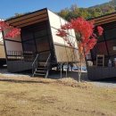 페스콤방역 이미지