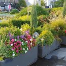 (주)씨드그룹 이미지