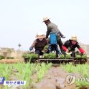 곽산농장 연합뉴스