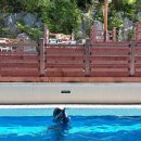 향로산 자연휴양림 수영장 이미지