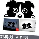 프리티도그 이미지