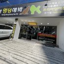 야옹아 멍멍해봐 평거점 이미지