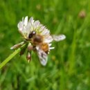 명곡동059 이미지