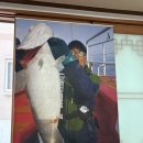 포항생대구탕 시청 근처에 위치한 사랑방대구탕