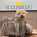 (주)락소프트 | 리틀콤포 러브콤포백 버전 2 여름용 올메쉬 강아지이동가방 비숑 솔직 후기