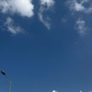 충남대학교1학생회관일식코너