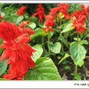 웅천초등학교 이미지