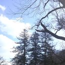 아도철물 | 순천...조계산 선암사