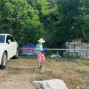 새터농장 이미지