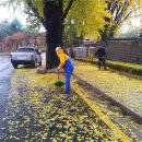 김영종농장 이미지