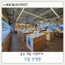 사동컴퓨터 | 경주 사동 으뜸 글라스 안경 누진다초점 안경전문점 할인정보