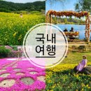 개화1리마을회관 이미지