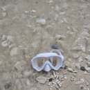 민트스쿠버 | 스노쿨링마스크 스네프 스노쿨링마스크세트 실사용 후기