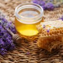 월악로농장 | 천연숙성꿀 슬로시티쿱에서 건강한 먹거리 주문해보세요