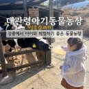 대관령 아기동물농장 | [강릉] 강원도 아이와 겨울여행: 대관령 아기동물농장 솔직후기 (입장료•주차•체험 꿀팁 총정리)