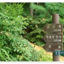 모봉길 티스토리