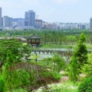 한밭수목원 이미지