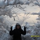 꿈의궁전 이미지