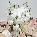 선정카센타 | [광주/부케 말리기] 미오앤노이 부케 말리기 후기