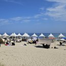 고고비치서프 이미지