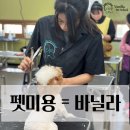 나주 바닐라 애견미용학원 실전과 실력의 집약처!