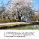우니메이카 강화점: 바다, 호수, 산이 품은 조용한 힐링