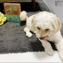 ES 헬스케어 이미지