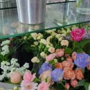 Flower소중한;날 이미지