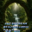 당신의봄날 - 창원시 진해구 냉천로 112-1 | 당신의봄날