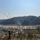 배때기네하우스 이미지