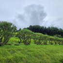 가람목장 이미지