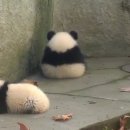 곽내과의원 이미지