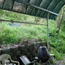 풀내음힐링캠프 이미지