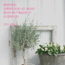 황제 사우나 이미지