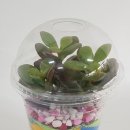 원예조합2호 이미지