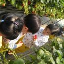 유신농장 이미지