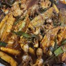 최고네코다리 이미지