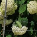 인앤아웃한의원 이미지