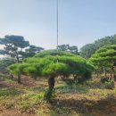 신천리 영농조합법인 이미지