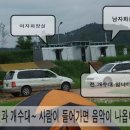진위천 이미지