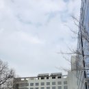 기흥 테라타워 지식산업센터 티스토리