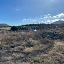 각하목장 이미지