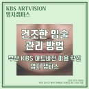 케이비에스아트비전주 이미지