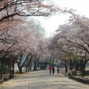 군자산책
